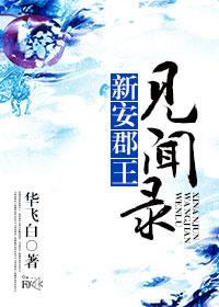 新安郡王见闻录晋江