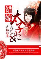 错嫁太子妃电视剧剧情介绍