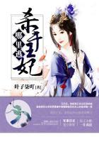 杀手王妃txt