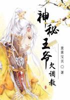 神秘王爷全集