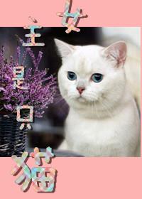 女主是猫的言情