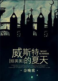 威斯特公司