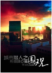 城市猎人 完整版