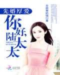先婚厚爱你好陆太太txt百度