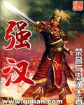 强汉科技产品介绍