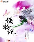 伪妆记到底讲了什么