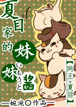 [网王夏目