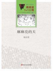 麻麻亮的天讲的什么