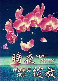 暗夜放纵简介