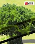 洪荒之榕植万界 聚合中文网