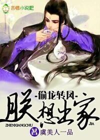 1偷龙转凤