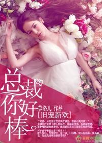 旧爱新宠 老公爱不停