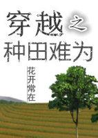 穿越之种田人家