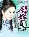 错嫁系列