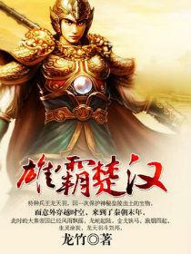 雄霸楚汉未删减精校版