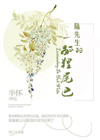陆先生什么意思