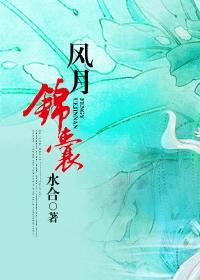 风月锦囊在线观看免费全集剧情