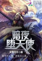 暗夜使者天8