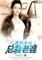 我的冰山总裁老婆林若溪杨辰
