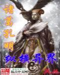 诸葛孔明纵横异界重生