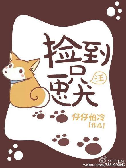 捡到一只忠犬攻txt