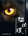 猫的眼睛像什么