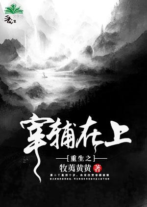 重生之宰辅在上 讲的什么