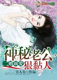 二婚总裁神秘妻