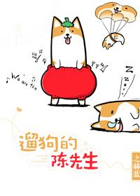 遛狗的陈先生最新章节免费阅读