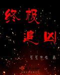 终极追凶完整版