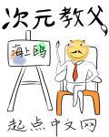 次元岛是什么机构