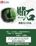 蒙城绝命毒师