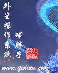 外星人电脑系统